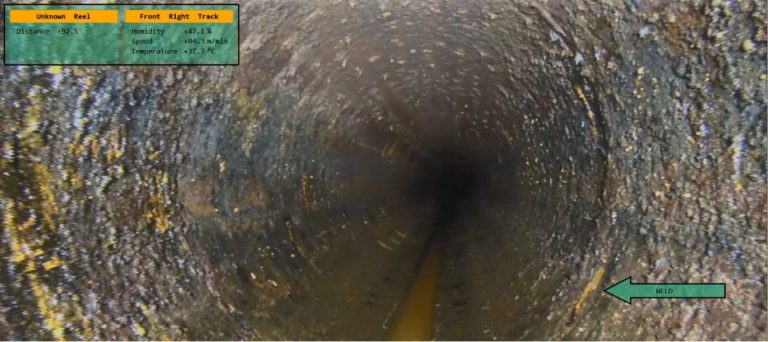 identificacao-precoce