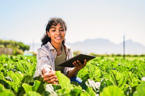 agricultura-sustentavel Mulher utiliza tecnologia no campo